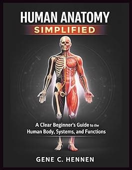 Human Anatomy Simplified
